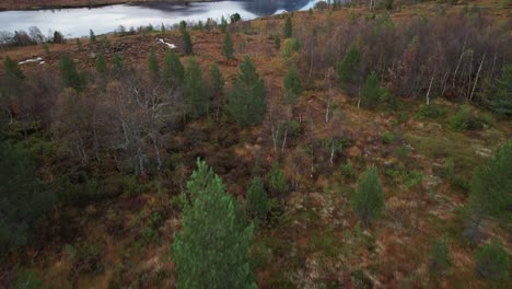 Eine-Luftaufnahme-Eines-Sees-In-Norwegen