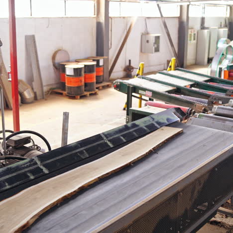 wooden boards after sawing at the sawmill. logging industry. special technik closeup. wood based industry department.