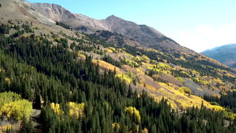 álamo-Temblón-En-El-Otoño-Montañas-Rocosas-Drone