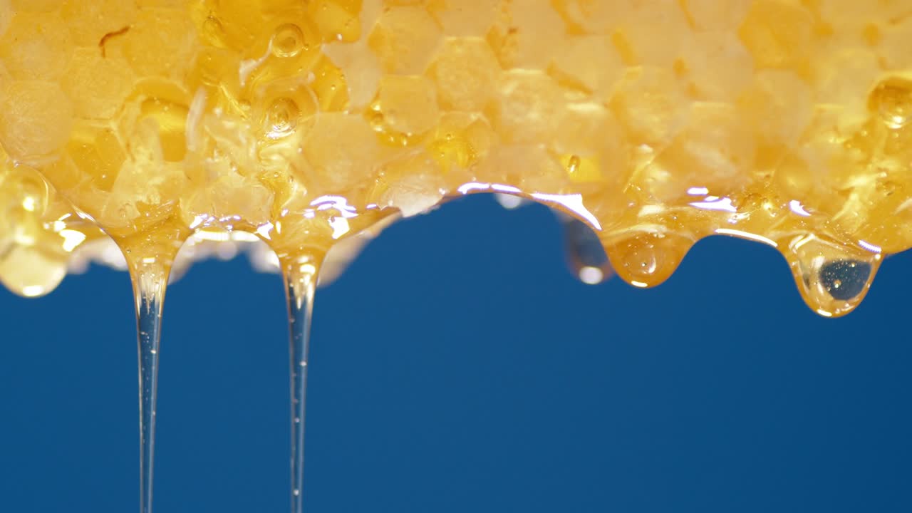 新鮮な蜂蜜が 蜂巣から流れ出る