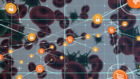 red de iconos digitales contra la célula y los vasos sanguíneos de covid-19 en fondo gris