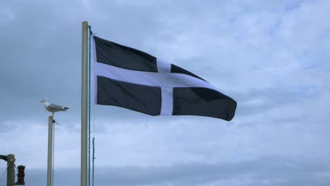 Saint-Piran-Bandera-Soplando-En-El-Viento-Cornwall-Con-Gaviota-En-Segundo-Plano