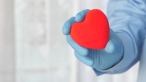 doctor holding a red heart in blue gloves