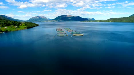 imágenes aéreas de granjas de pesca de salmón en noruega