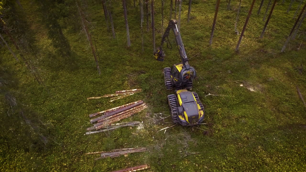 escorpión haciendo trabajo forestal