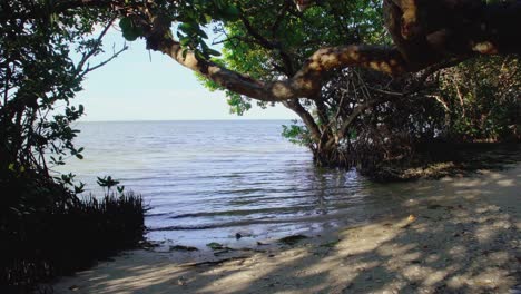 Emerson-Point,-Bradenton-Florida,-Playa,-Arena-Blanca,-Tesoro-Escondido,-Cielos-Azules,-árboles-Verdes,-Manglares