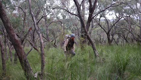 un hombre camina por el bosque australiano mientras hace senderismo con una mochila rodeado de árboles de goma y hierbas nativas
