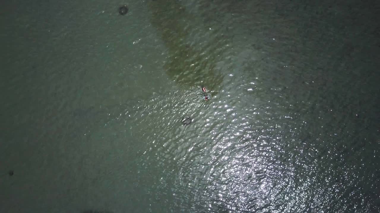 Aerial view of a person swimming in the sea