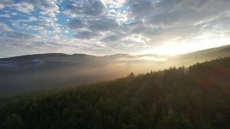 nature morning, drone footage of sunrise view in deep forest, majestic woodland, lands affected by the climate crisis