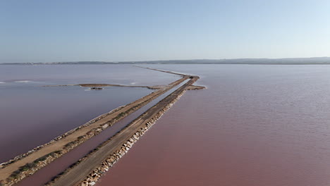 pink salt flats aerial view