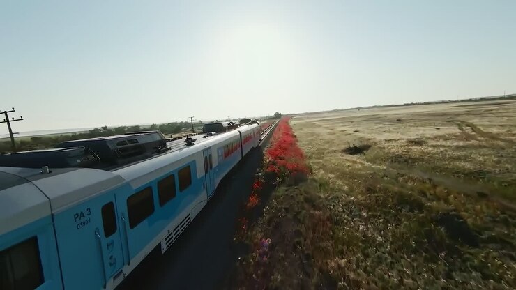 Train Passing Through a Scenic Countryside Field