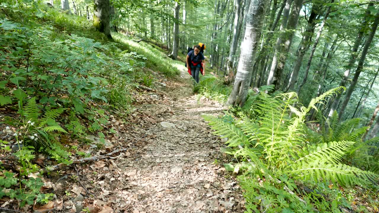 산길 을 오르고 있는 젊은 관광 여인