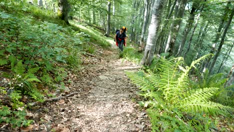 una joven turista subiendo por un camino de montaña