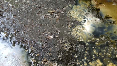 chemical liquids appear on the surface of wastewater sewerage