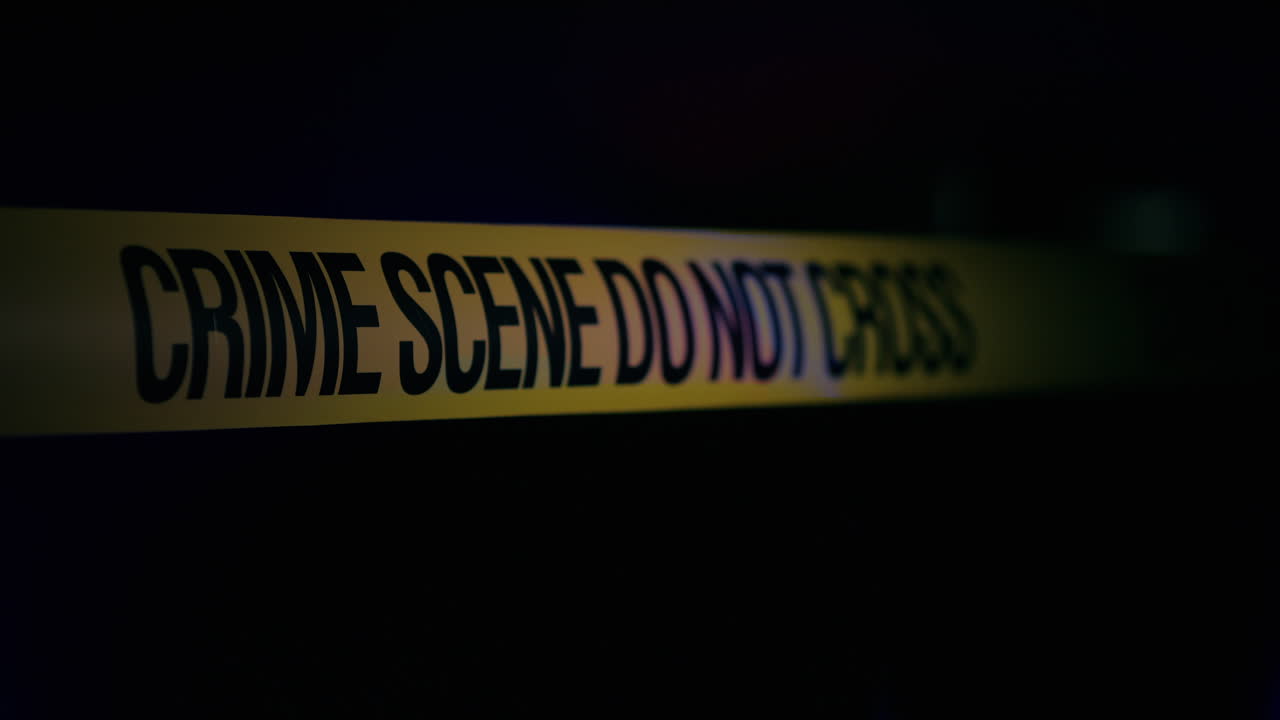 Police lights light up the fencing tape at the crime scene