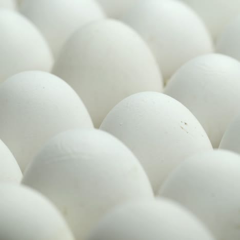 white chicken eggs in a cardboard box. tray of eggs