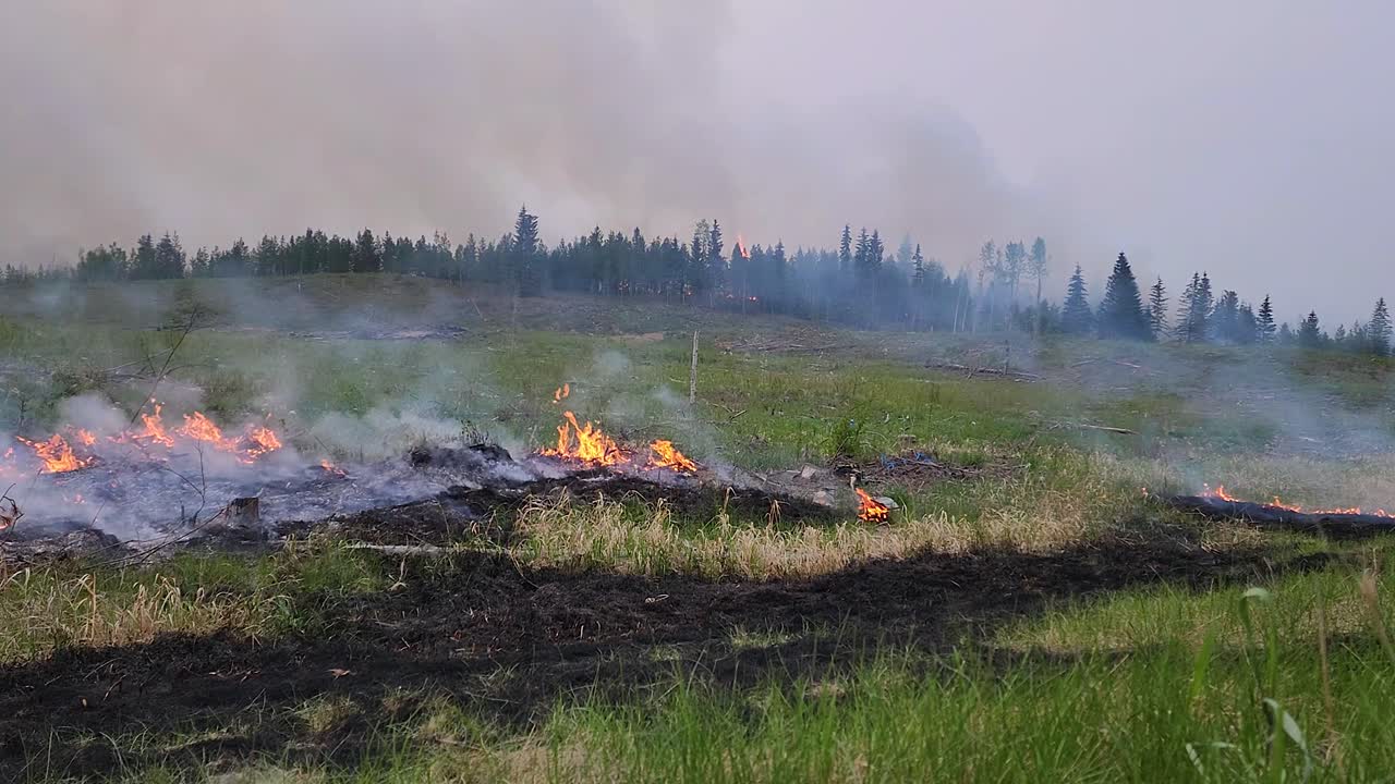 Skogsbränder i Alberta, Kanada. Timelapse.