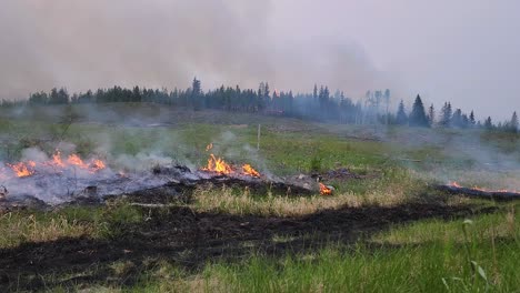 forest fires burning in alberta, canada. timelapse