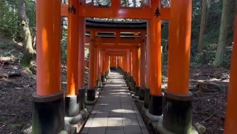 walking forward through orange gates of fushimi inari taisha