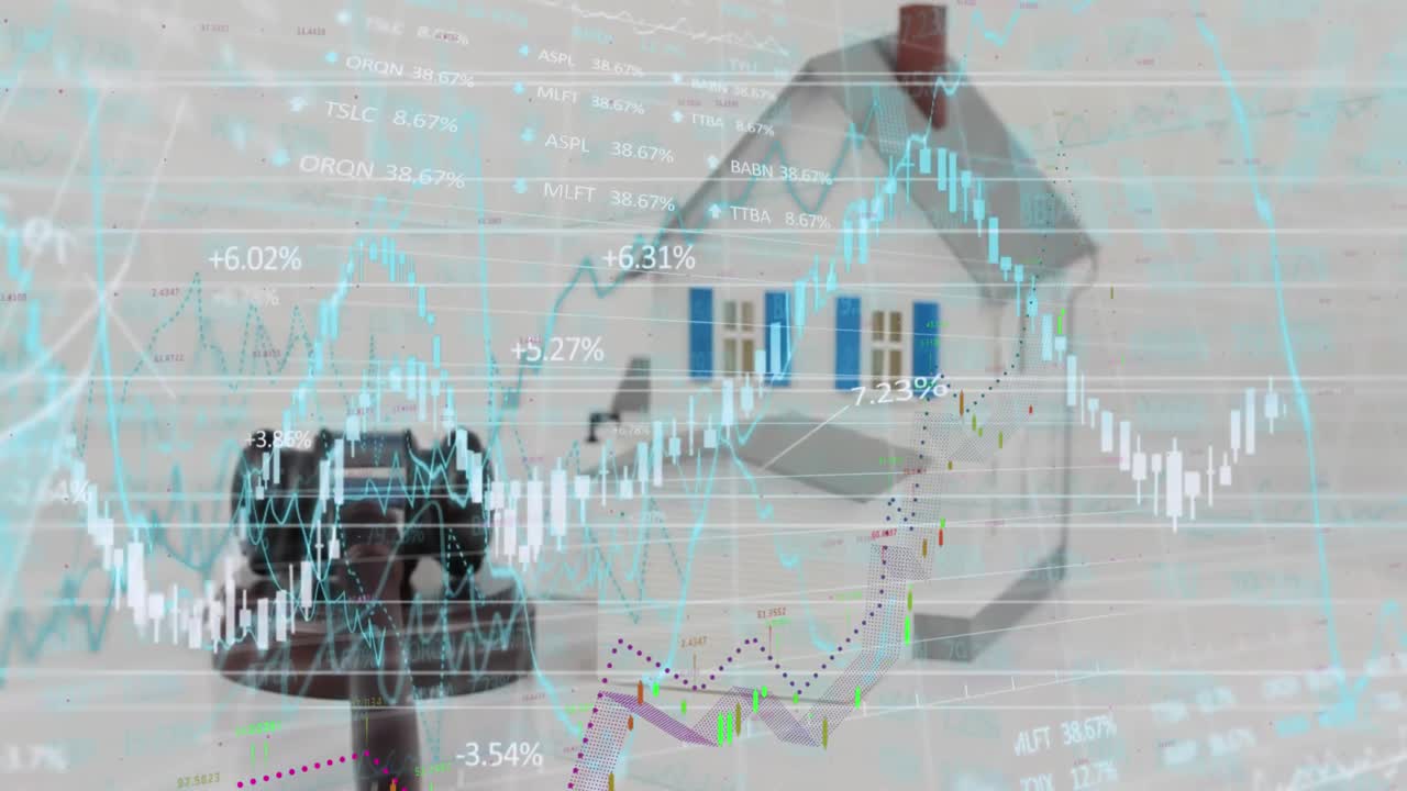 하 공간에서 집 모델에 대한 재정 데이터의 애니메이션.