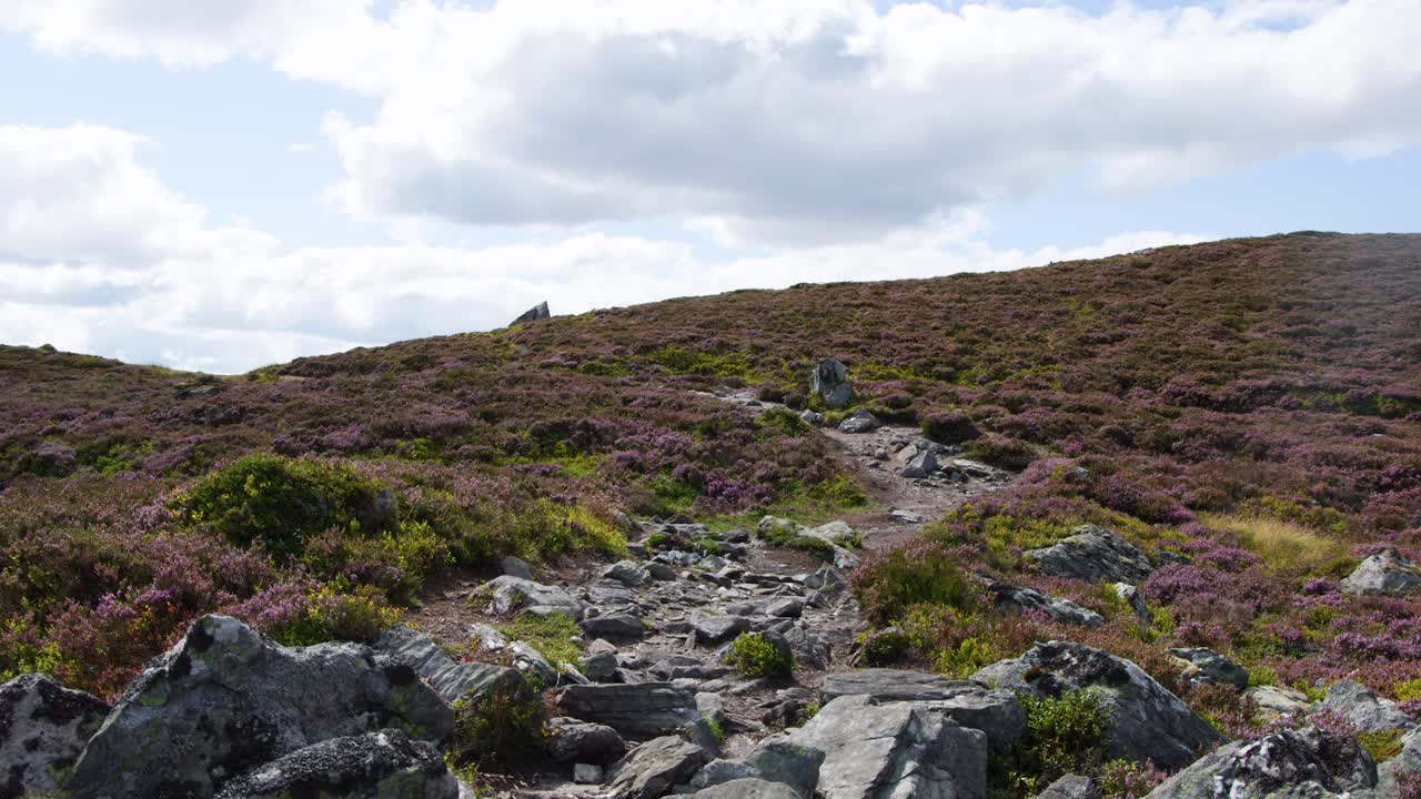 Camera moves slowly uphill along rocky trail through heather, natural daylight, wide landscape perspective
