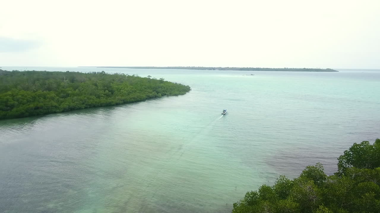pesca en las islas del bosque de manglar