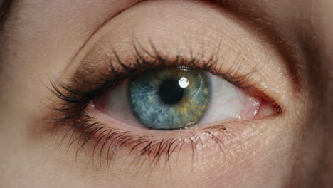 beautiful macro blue eye blinking natural human beauty healhy eyesight close up