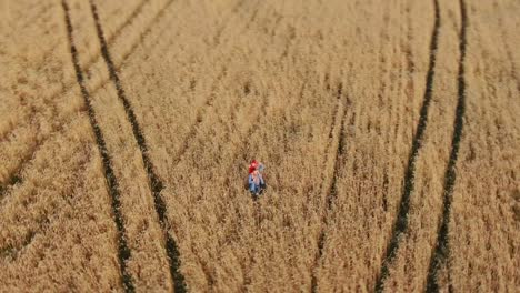 dad holds the baby on his shoulders and spins in the field. camera rotation. aerial view video from copter. top view.