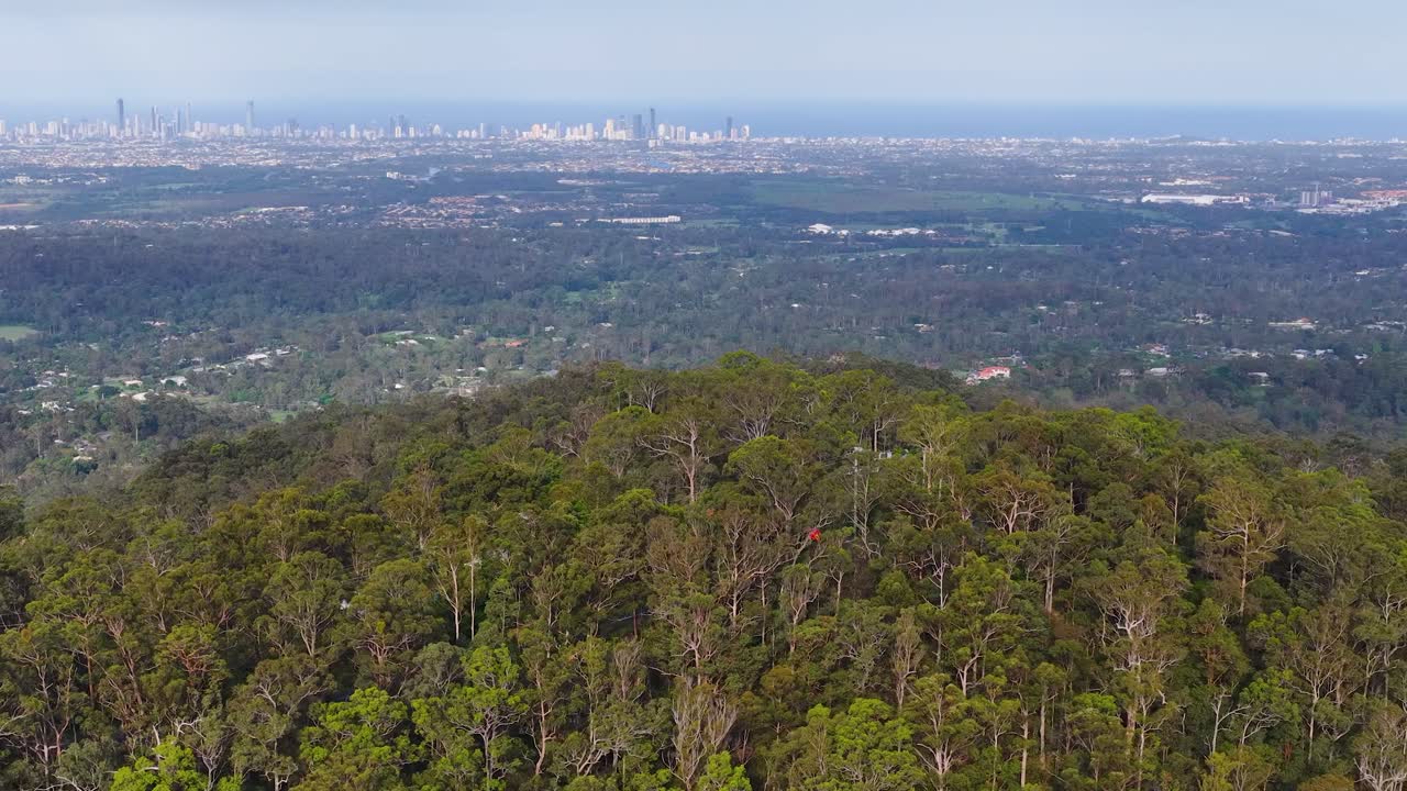 Eine Drohnenkamera schwenkt über üppige bewaldete Hügel in Richtung der fernen Skyline der Gold Coast bei hellem Tageslicht