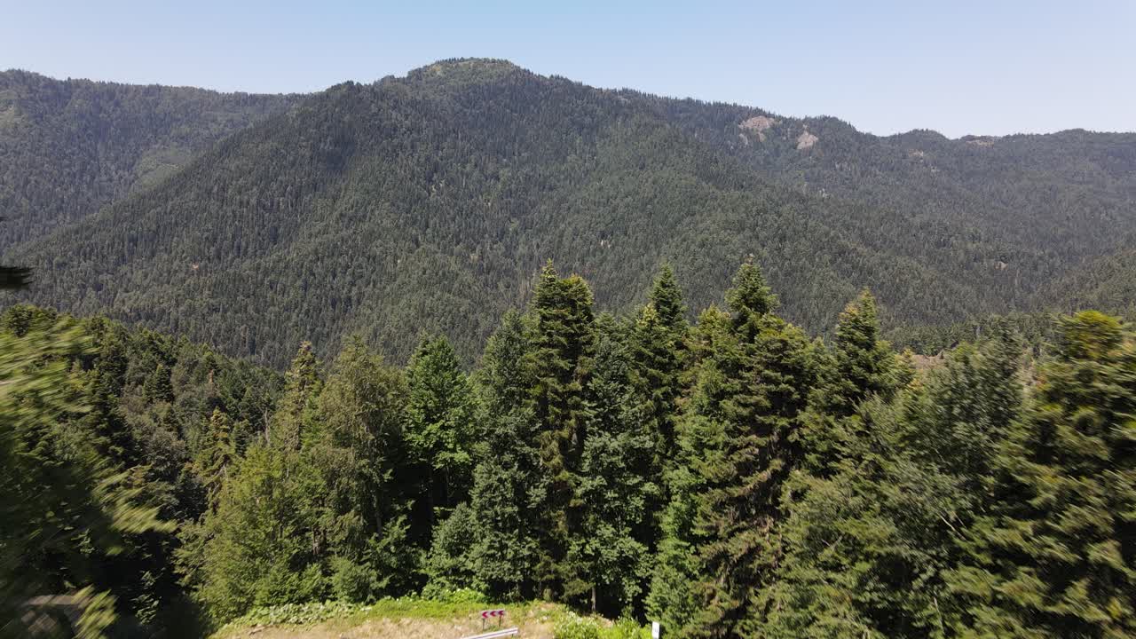 자연 머릿단 mountian 숲