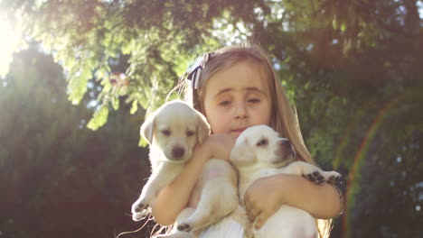 cute caucasian girl holding small labrador puppies in the park on a summer day