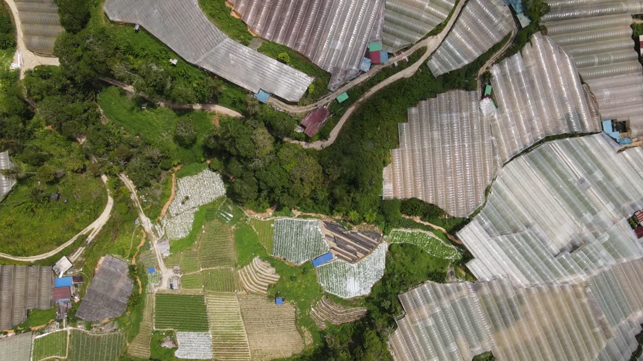 General Landscape View of the Brinchang District Within the Cameron Highlands Area of Malaysia