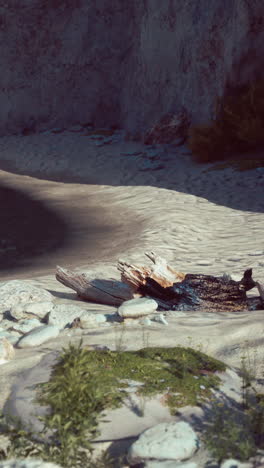 landscape of ocean and rocky cliff