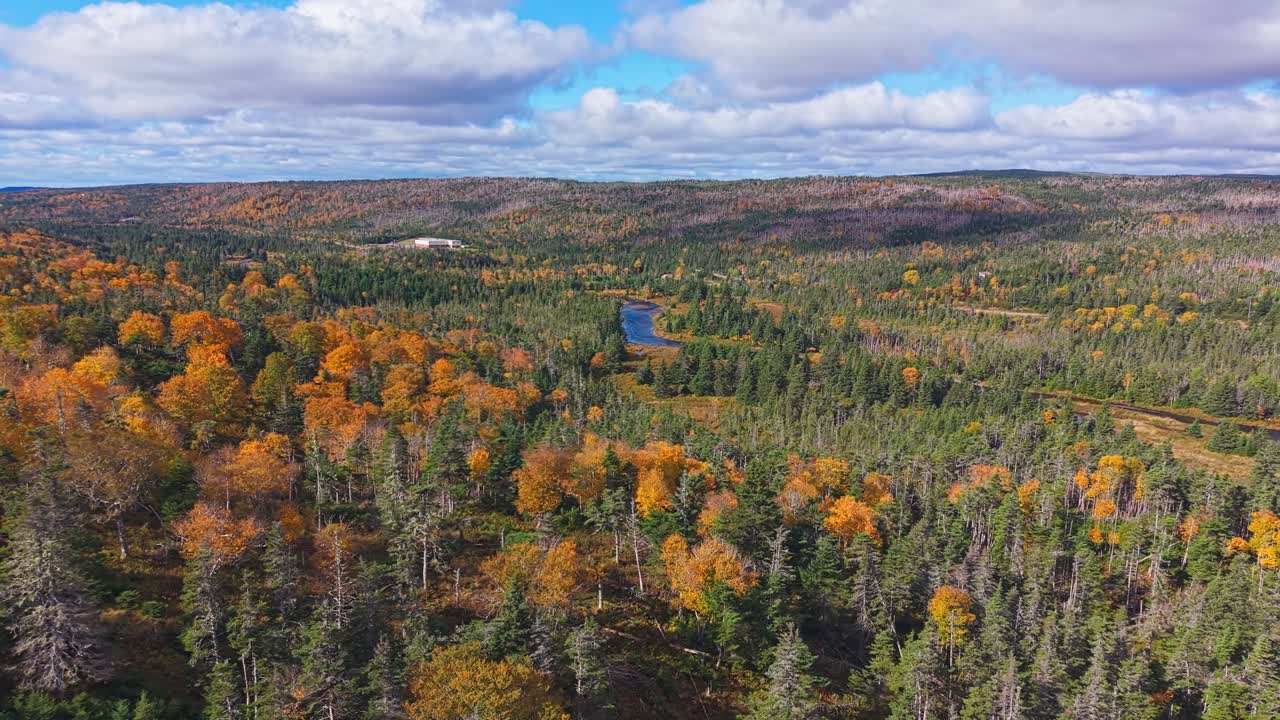 Aerial view of fiery orange autumn valley with winding river and dense forest; vibrant deciduous trees dominate over evergreens