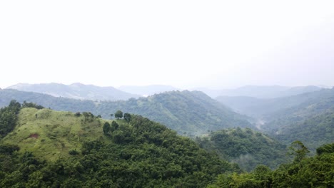 Vista-Aérea-Del-Bosque-En-El-Cielo-Despejado-Y-Hermoso-Paisaje-De-Verano