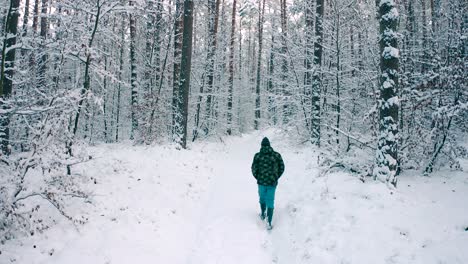 a man walks through a trail road covered with snow in a winter forest