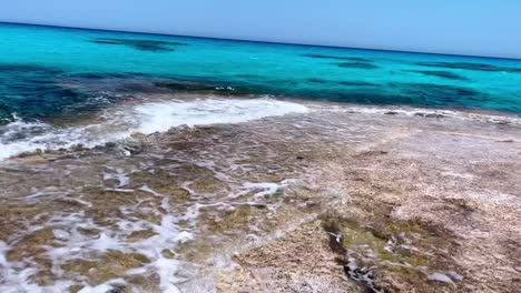 a view of a sea, close up shot, wide shot