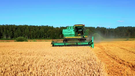 harvesting the wheat with combine harvester in lithuania - pullback