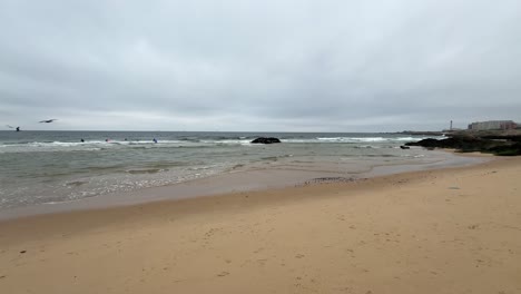birds flying over sandy beach in porto in portugal on a moody cloudy day