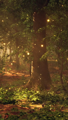 enchanted forest with fireflies