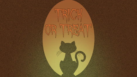 trick or treat night backdrop with elusive cat silhouette