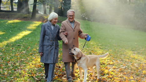 elderly couple walking with a dog on a leash in the park at sunset in autumn