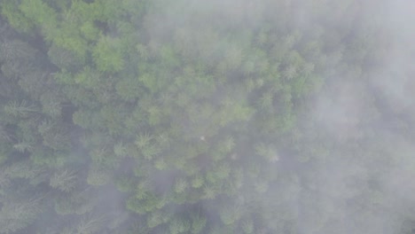 De-Arriba-Hacia-Abajo-Bosque-De-Montaña-Aéreo-Ambiente-Cambiante-Con-Nubes-4k