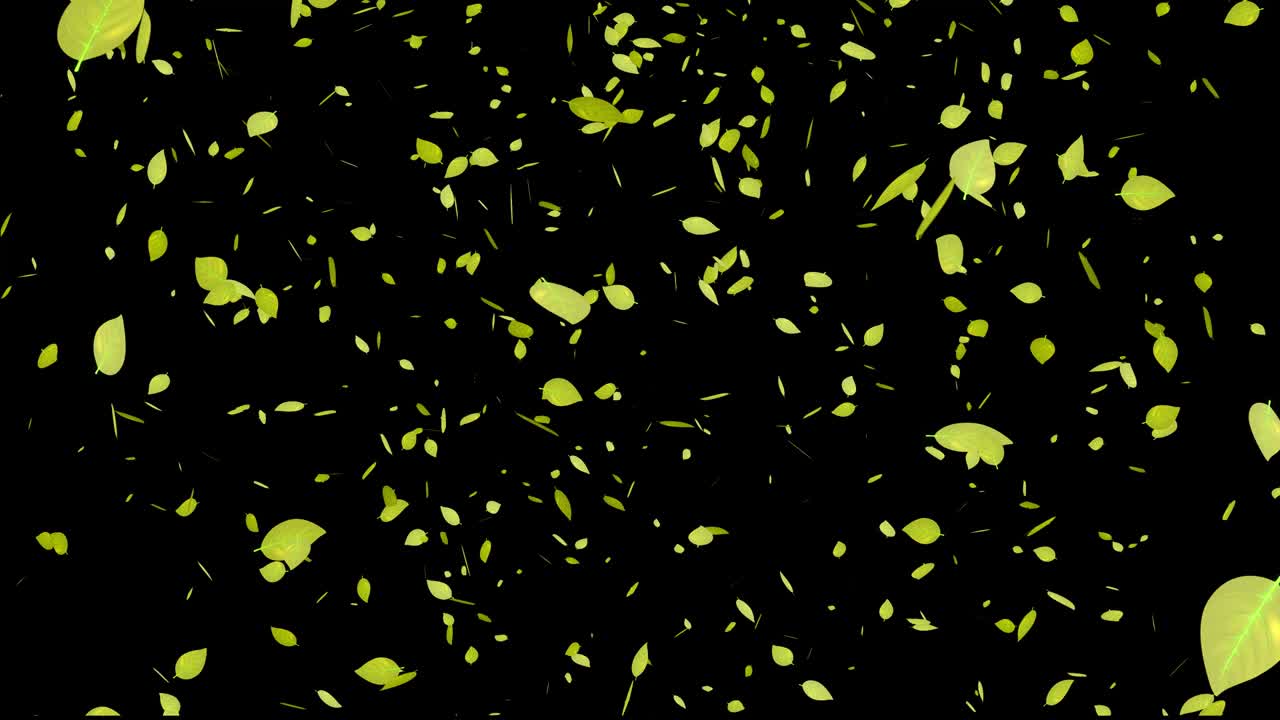 hojas amarillas, hojas de otoño, hojas del otoño, partículas que caen, gráficos en movimiento