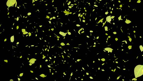 yellow leaves, autumn leaves, autumn leaves, falling particles, motion graphics