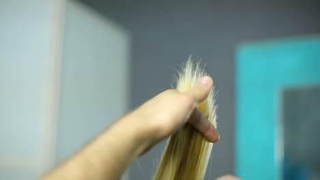 process of cutting hair. hair dresser is dyeing hair of beautiful woman in barber shop