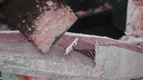a worker peels the skin off frozen tuna fillets