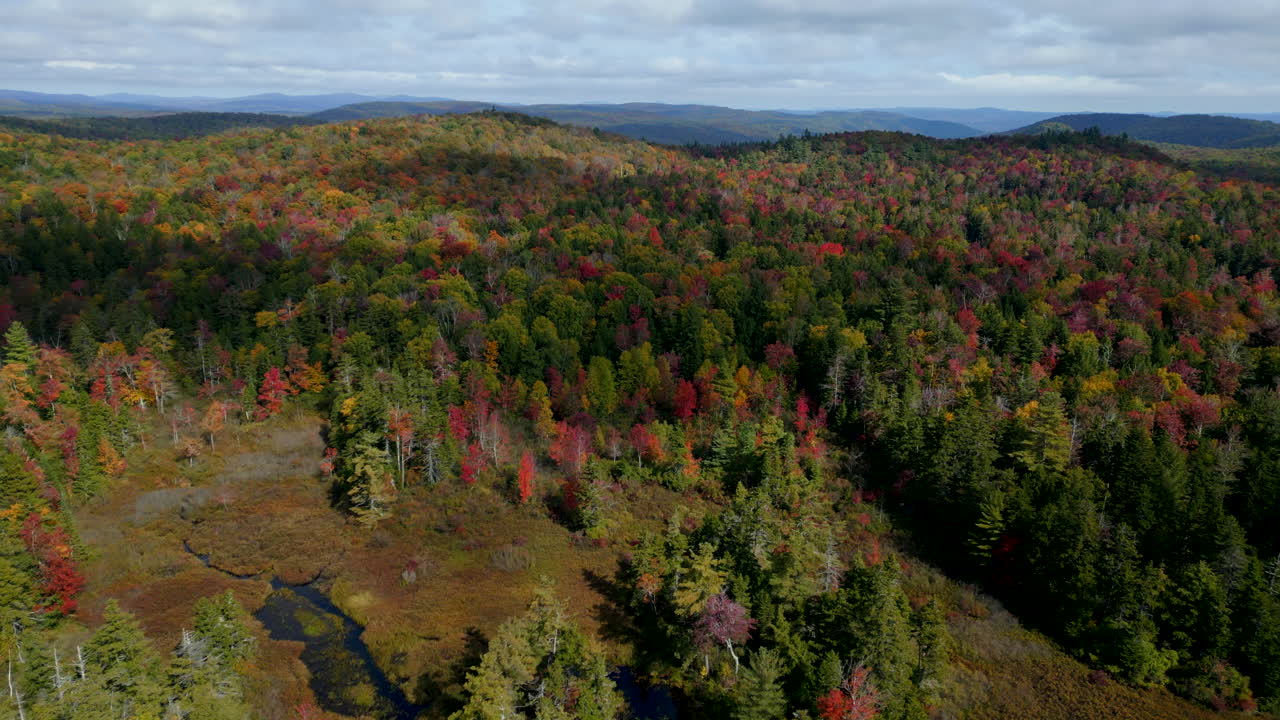 Aerial panoramic pullback over dense New England forest in Massachusetts with small meandering stream emptying into lake