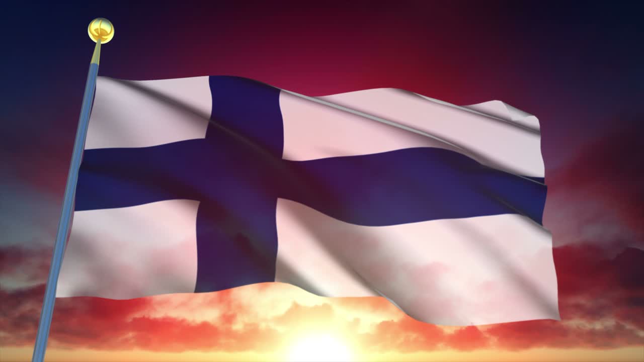 핀란드 발의 4k 고도로 상세한 루프