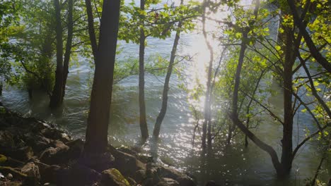 motion video of sunlight reflecting on surface of ripples on lyon river in feyssine park, france